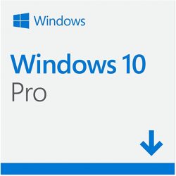 Windows 10 Professional